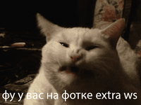 extra.png
