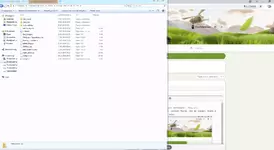 1594732764316.webp 1594732764316.webp