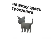 F346297B-5535-4533-B22F-9590700C5778.webp