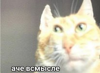41AC98F8-3D84-4C10-9F2C-3A7A68F65CF2.jpeg