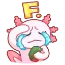 1-20192-128.webp 1-20192-128.webp
