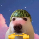 1605528638244.png
