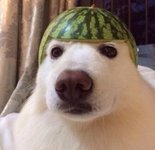 q1Br3z_h7iI.jpg