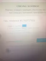 QecZSxpd4Ss.webp