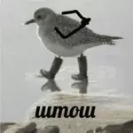 1608377828858.webp 1608377828858.webp