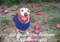 XpfFKVAKjjg.webp