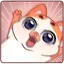 1627329891874.webp