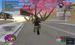 sa-mp-157.webp