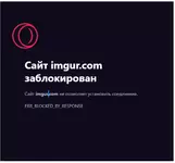 1637752754392.webp 1637752754392.webp