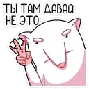 1639472105766.webp
