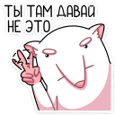 1639472105766.png