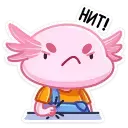 1640170786133.webp