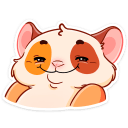 1640697817818.png