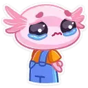 1640890115422.webp