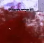 Скриншот 31-12-2021 150726.jpg