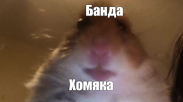 1642878554751.png
