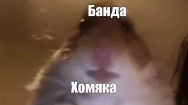 1642878554751.webp