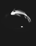 AzJu.gif