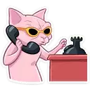 1644359306584.webp