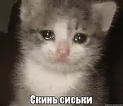 1645028114707.webp