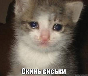 1645028114707.png