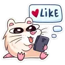 1654208981146.webp