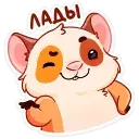 1654290087916.webp