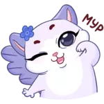 1657579570825.webp