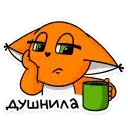 1659135556937.webp
