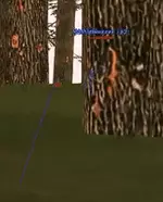 1659617869120.png 1659617869120.png