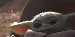 1660836112330.jpeg 1660836112330.jpeg