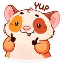1664046092697.webp