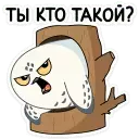 1668023849784.webp