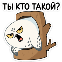 1668023849784.png