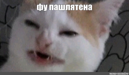 1670153557524.png