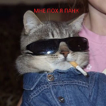 1670975105263.png