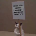 1670975271845.png