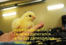 1670975359623.png