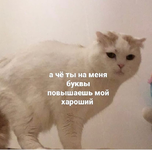 1670975383297.png