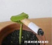 1670976725445.png