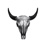 deerskull.png deerskull.png