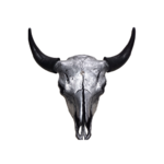 deerskull.png