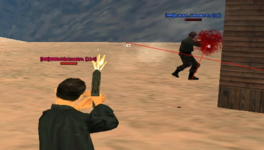1682444495554.png