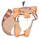 1688675484491.webp
