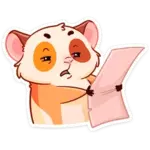 1691444456257.webp 1691444456257.webp