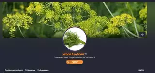 1691572164784.webp