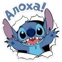 1691786337168.webp
