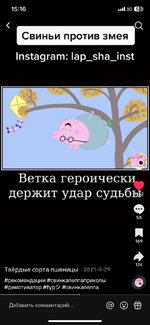 IMG_0872.png