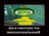 UzbtT1GMKQI.jpg