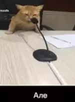 1703702220925.webp 1703702220925.webp